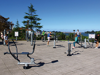 DP650 machine para parco fitness castellon .jpg